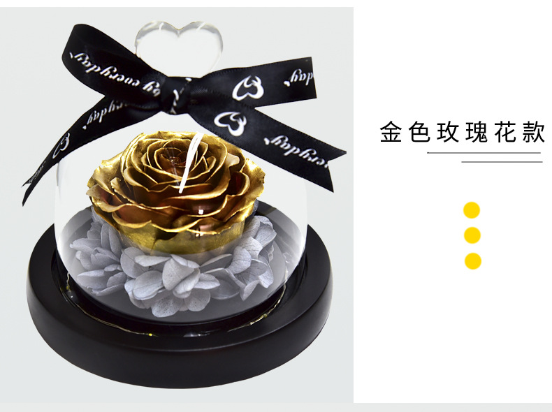 Preserved Fresh Flower Gift Christmas Valentine's Day Creative Gift Glass Cover Rose Dried Flower Manufacturer Amazon Cross-Border