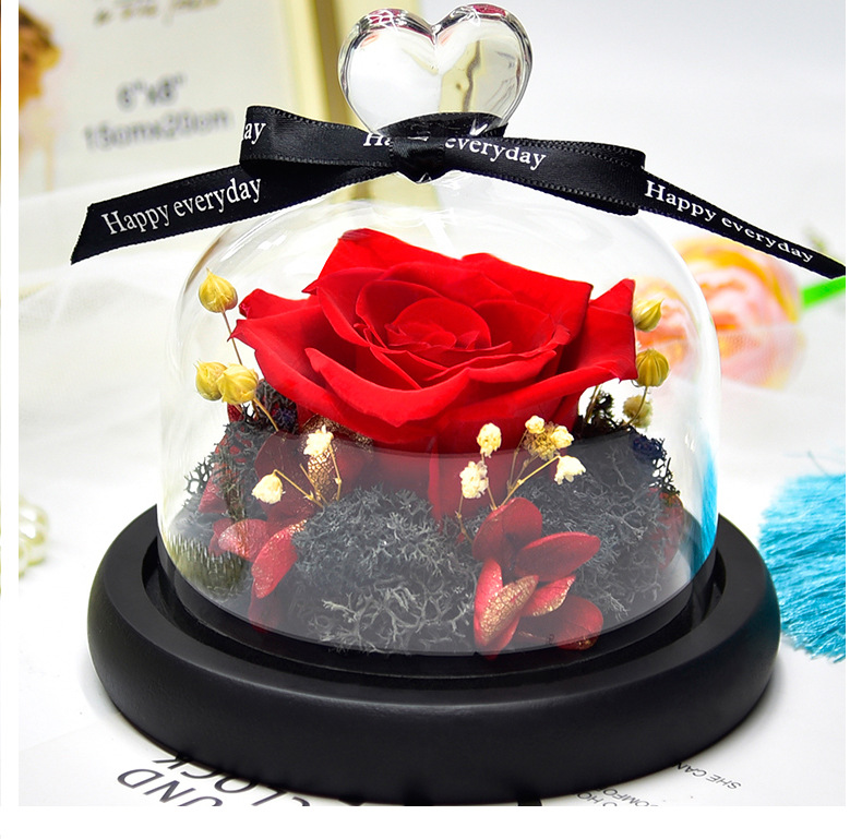 Preserved Fresh Flower Gift Christmas Valentine's Day Creative Gift Glass Cover Rose Dried Flower Manufacturer Amazon Cross-Border