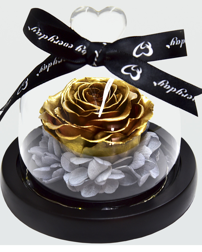 Preserved Fresh Flower Gift Christmas Valentine's Day Creative Gift Glass Cover Rose Dried Flower Manufacturer Amazon Cross-Border