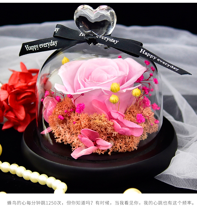 Preserved Fresh Flower Gift Christmas Valentine's Day Creative Gift Glass Cover Rose Dried Flower Manufacturer Amazon Cross-Border