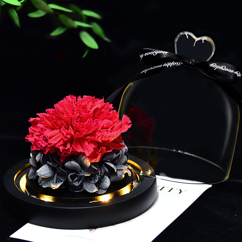 Preserved Fresh Flower Gift Christmas Valentine's Day Creative Gift Glass Cover Rose Dried Flower Manufacturer Amazon Cross-Border