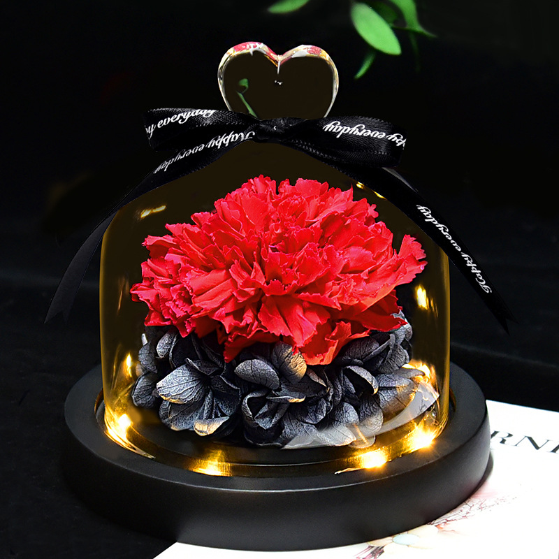 Preserved Fresh Flower Gift Christmas Valentine's Day Creative Gift Glass Cover Rose Dried Flower Manufacturer Amazon Cross-Border