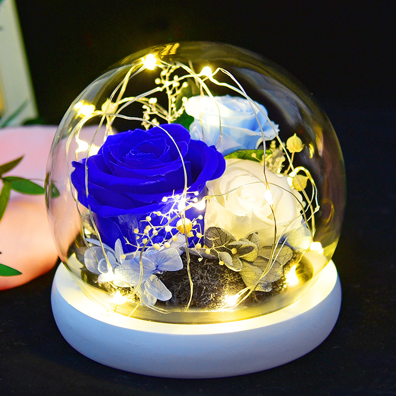 Preserved Fresh Flower Gift Christmas Valentine's Day Creative Gift Glass Cover Rose Dried Flower Manufacturer Amazon Cross-Border