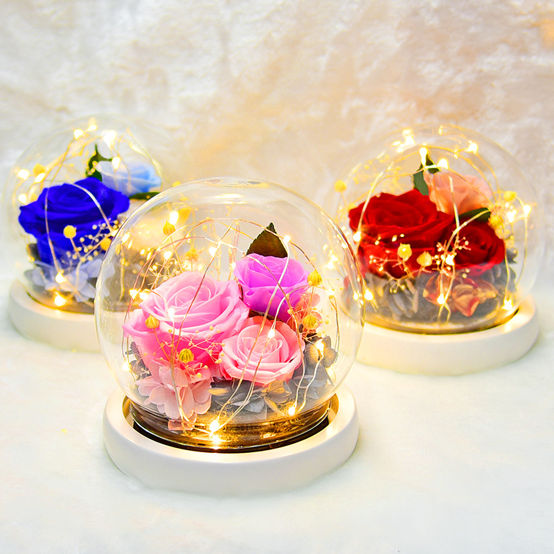 Preserved Fresh Flower Gift Christmas Valentine's Day Creative Gift Glass Cover Rose Dried Flower Manufacturer Amazon Cross-Border