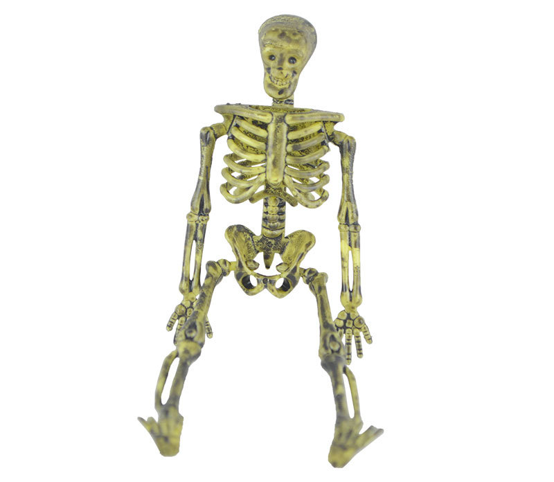 Halloween Decoration and Layout Supplies Ghost Festival Scary Horror Skull Skeleton Decoration Distressed Color Decorative Skeleton Props