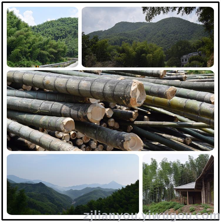 Features handmade bamboo tea cups water cup Bamboo cup practical trumpet factory customization can be carved