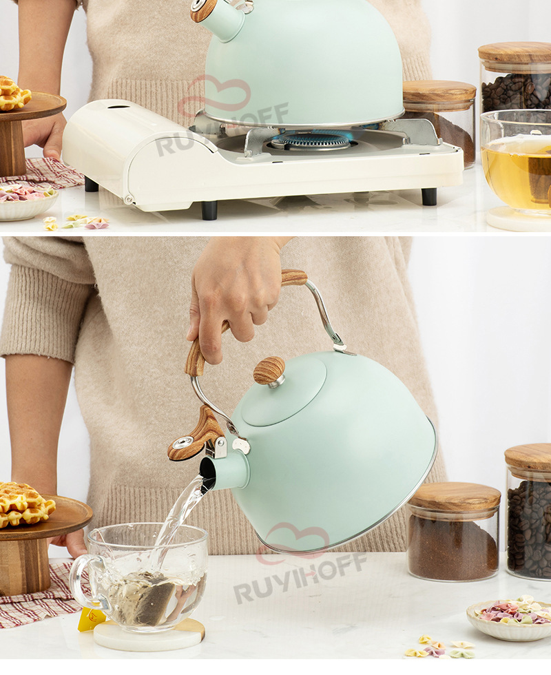 Ruyi Kitchenware New Green Whistle Kettle Nylon Anti-Scald Handle EBay Cross-Border Kitchenware Sound Water Pot
