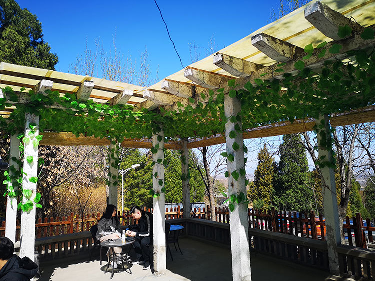 Grape Leaves Grape Vine Ceiling Decoration Green Leaf Vine Simulated Leaves Rattan Plant Flower Vine Simulation Rattan Leaf