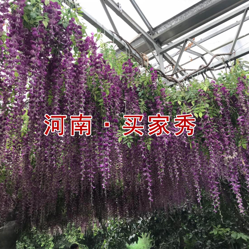 Artificial Wisteria Wisteria Branch Internet Celebrity Corridor Ceiling Wisteria Flower Artificial Flower Plant Wisteria Flower Fake Flower Wholesale