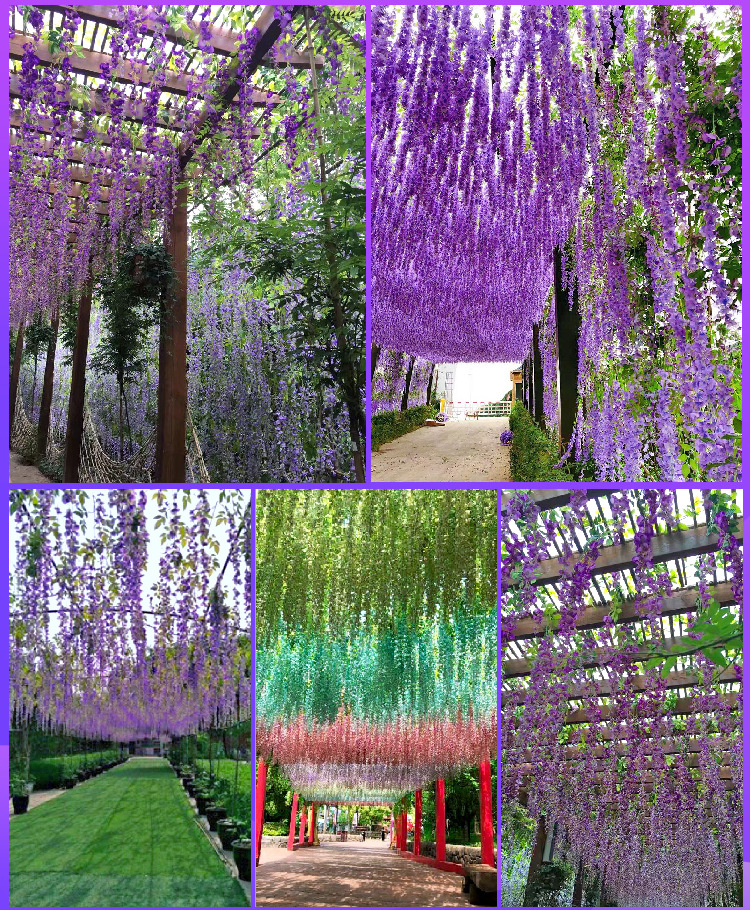 Artificial Wisteria Ceiling Wedding Corridor Ornamental Flower Artificial Flowers Simulation Tofu Pudding the Flowers Indoor Green Leaf and Fake Flower Artificial Wisteria Ceiling Wedding Corridor Ornamental Flower Artificial Flowers Simulation Tofu Pudding the Flowers Indoor Green Leaf and Fake Flower