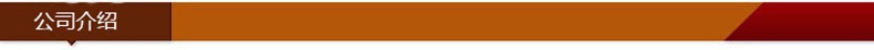 Stainless Steel Paring Knife Slicer Mandoline Multifunctional Peeler Peeler Tools for Cutting Fruit Fruit Planer Peeler Plane