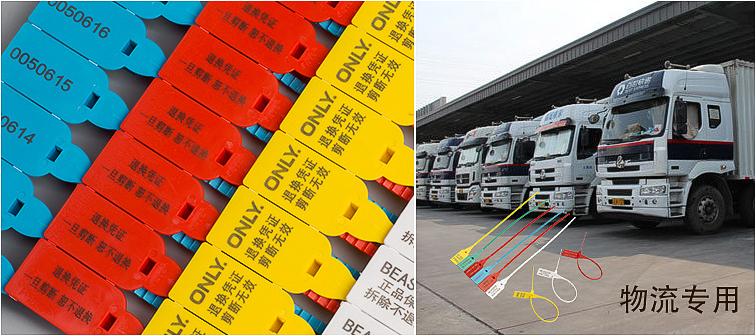 No. Plastic Triturator Seal Self-Locking * Label Zipper Tie Label Suitable for Fire Extinguisher Red Blue)