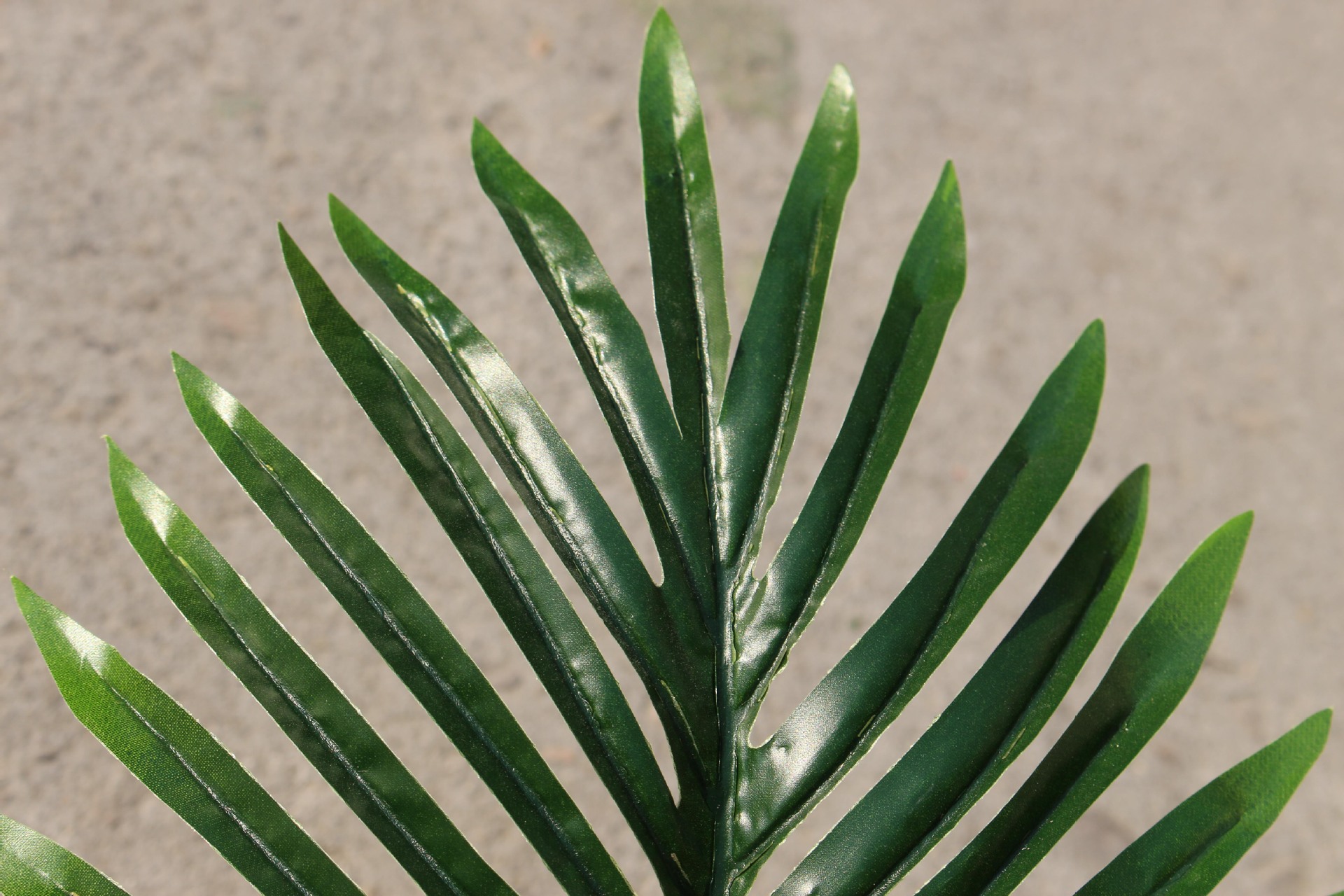 Jiawei/ Jiawei wholesale artificial plant false tree seven star leaves office home decoration manufacturers direct sales Jiawei/ Jiawei wholesale artificial plant false tree seven star leaves office home decoration manufacturers direct sales