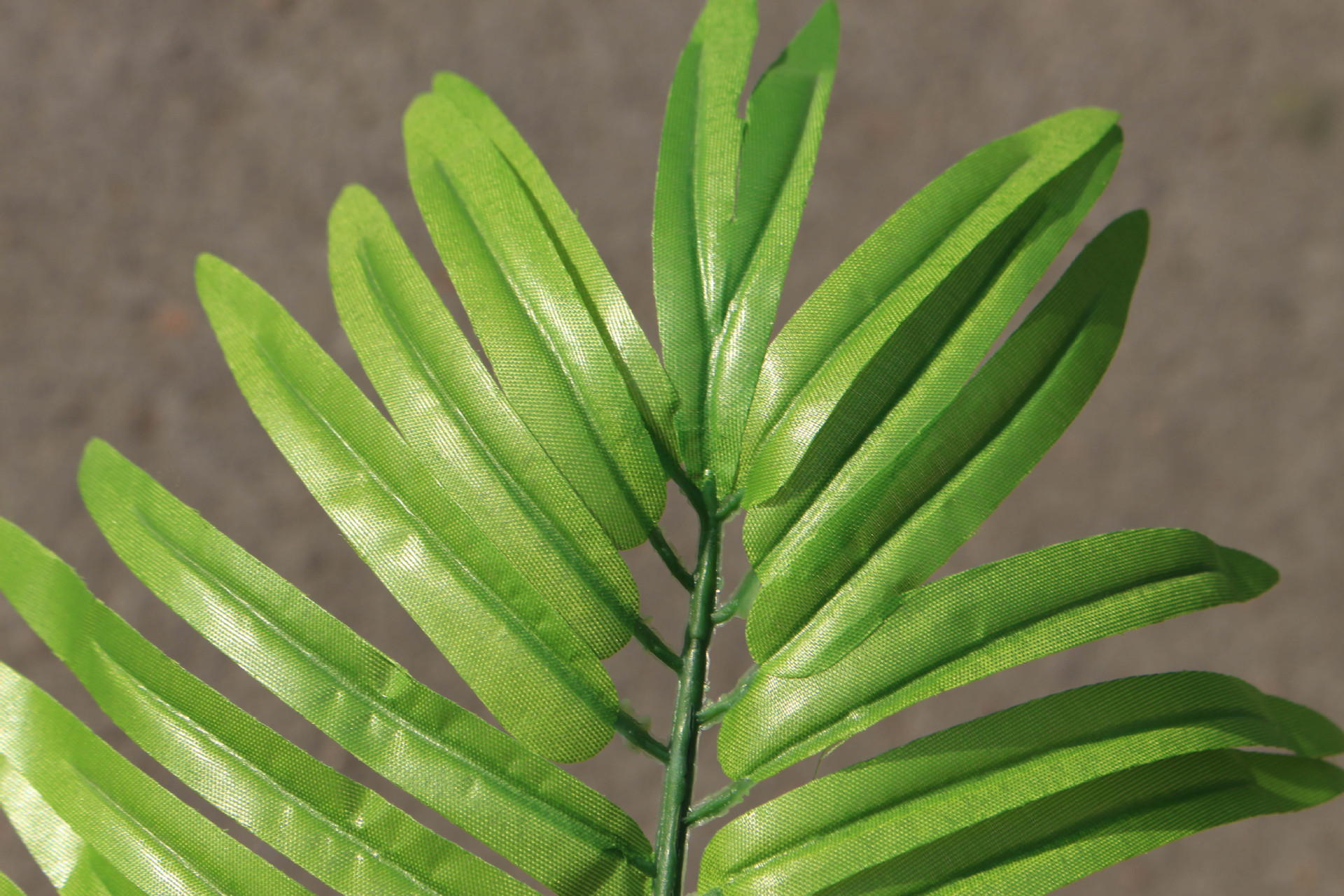 Jiawei/ Jiawei wholesale artificial plant false tree seven star leaves office home decoration manufacturers direct sales Jiawei/ Jiawei wholesale artificial plant false tree seven star leaves office home decoration manufacturers direct sales
