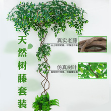 Imitative Tree Artificial Plant Bonsai Nordic Large Ravenala Bird of Paradise Domestic Ornaments Fake Green Plant Potted Plants