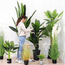 Imitative Tree Plants Green Plants Potted Indoor Living Room Large Artificial Bonsai Floor Ornaments Bird of Paradise Simulation Ravenala Imitative Tree Plants Green Plants Potted Indoor Living Room Large Artificial Bonsai Floor Ornaments Bird of Paradise Simulation Ravenala