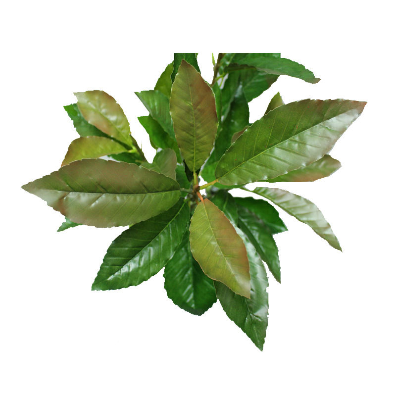 Artificial Plant Oak Leaf Board Millet Tree Summer Oak Leaf Three-Dimensional Branch Green Bar Leaf Green Landscape Engineering Factory Wholesale