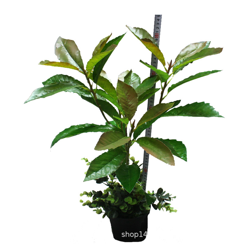 Artificial Plant Oak Leaf Board Millet Tree Summer Oak Leaf Three-Dimensional Branch Green Bar Leaf Green Landscape Engineering Factory Wholesale Artificial Plant Oak Leaf Board Millet Tree Summer Oak Leaf Three-Dimensional Branch Green Bar Leaf Green Landscape Engineering Factory Wholesale
