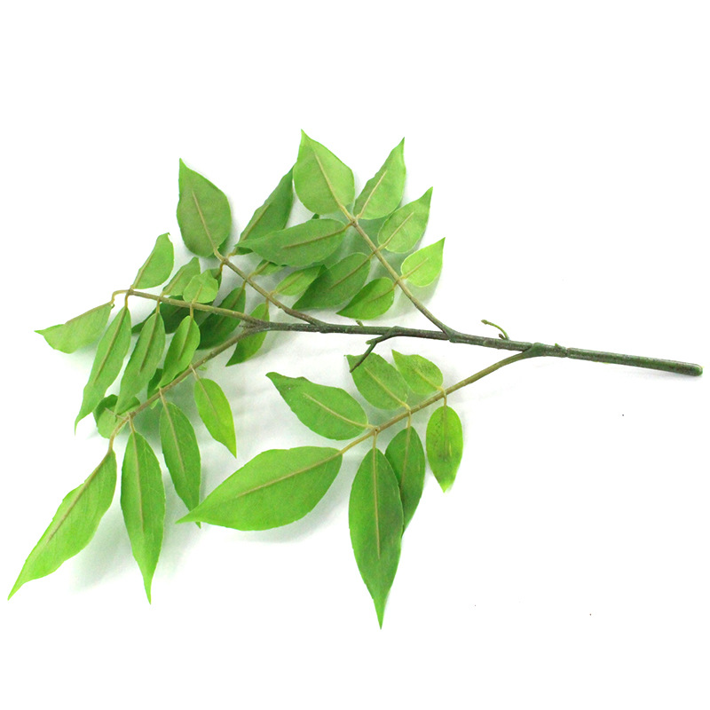 Artificial Maple Leaf Oak Tree Red Branch Firewood Spring and Autumn Color Deciduous Arbor Background Acacia Leaves Maple Tree Engineering Decoration Wholesale Artificial Maple Leaf Oak Tree Red Branch Firewood Spring and Autumn Color Deciduous Arbor Background Acacia Leaves Maple Tree Engineering Decoration Wholesale