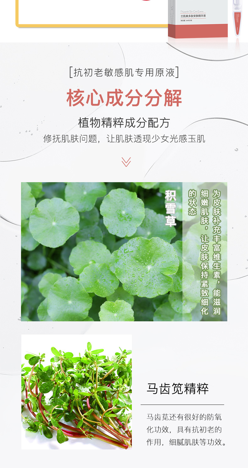 Polypeptide Water Light Essence Agent Facial Hyaluronic Acid Daub-Type Repair Brightening and Firming Soft Ampoule Disposable Liquid