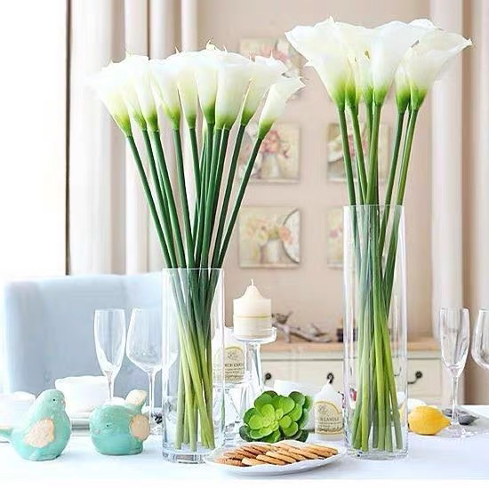 Bamboo Glass Vase Transparent High Water Bamboo Lucky Bamboo Dragon Bamboo Fortune Bamboo for Florists Cylindrical Straight