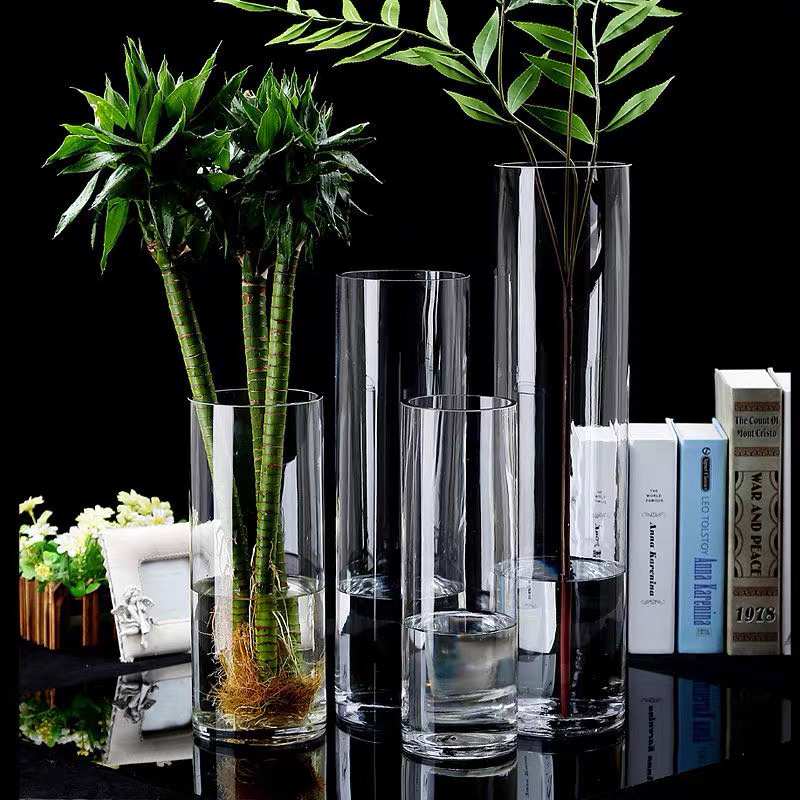 Bamboo Glass Vase Transparent High Water Bamboo Lucky Bamboo Dragon Bamboo Fortune Bamboo for Florists Cylindrical Straight