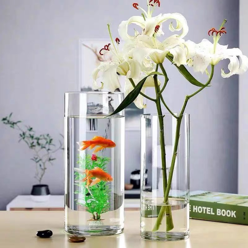 Bamboo Glass Vase Transparent High Water Bamboo Lucky Bamboo Dragon Bamboo Fortune Bamboo for Florists Cylindrical Straight