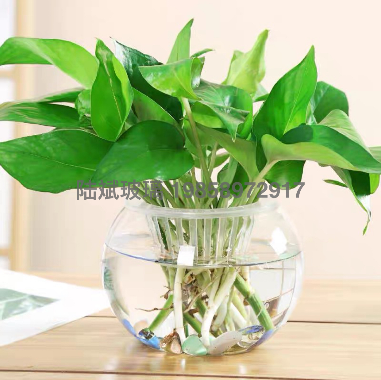 Hydroponic Plant Glass Bottle Transparent Vase Container Green Dill Flowerpot round Spherical Fish Tank Hydroponic Small Size Living Room Desktop