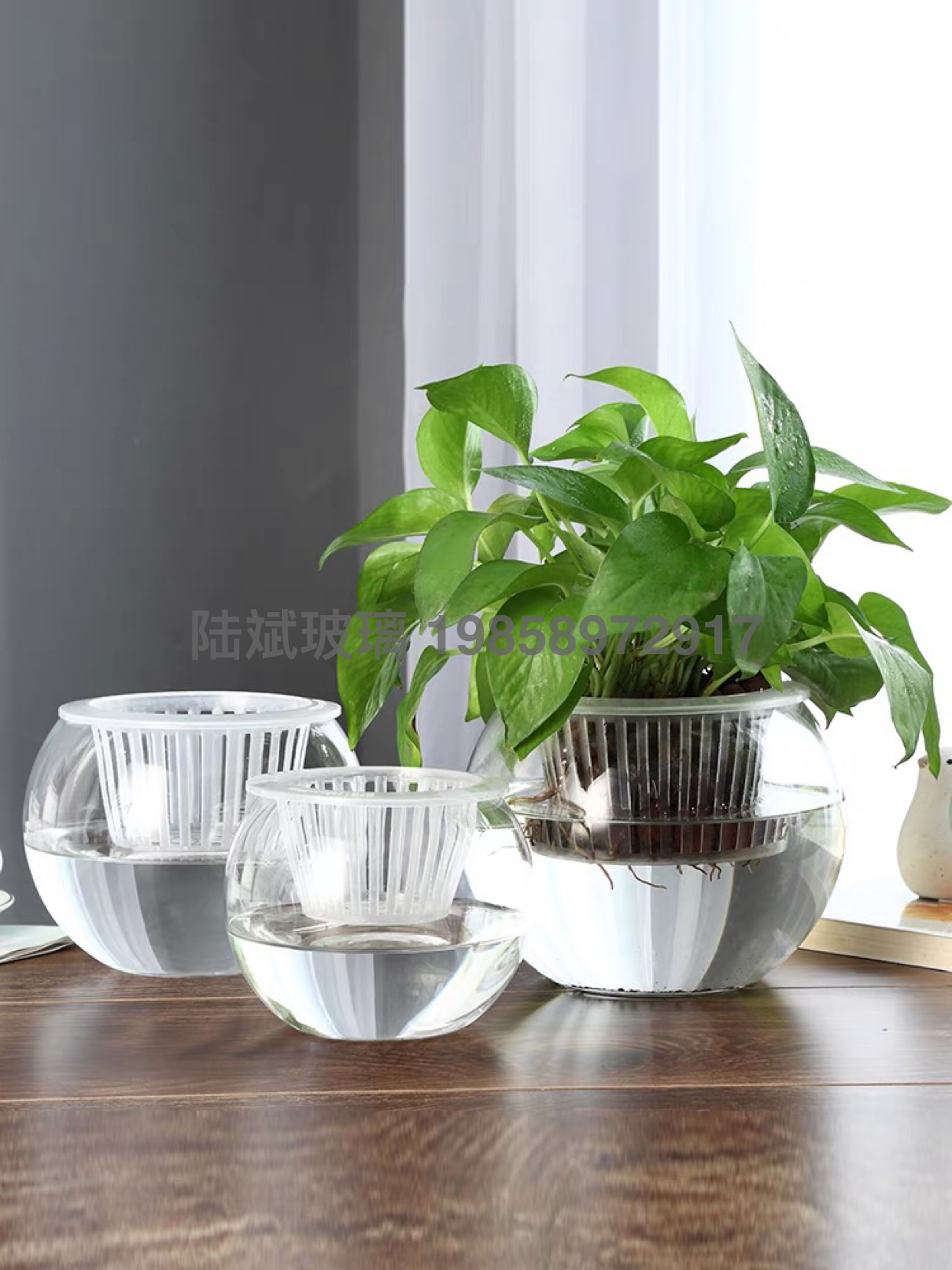 Hydroponic Plant Glass Bottle Transparent Vase Container Green Dill Flowerpot round Spherical Fish Tank Hydroponic Small Size Living Room Desktop