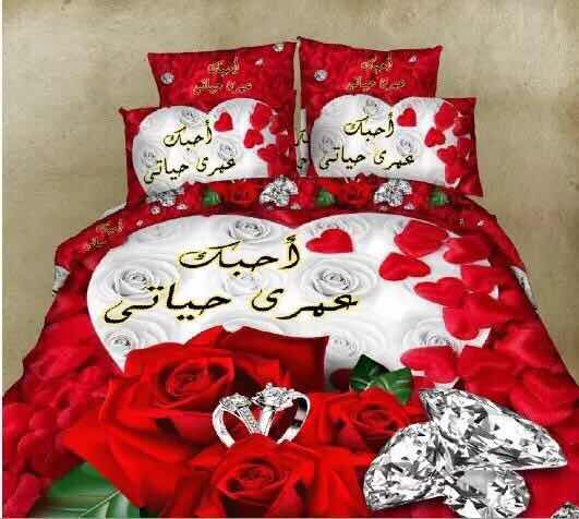Bedding set four-piece rose lip series printed in Arabic