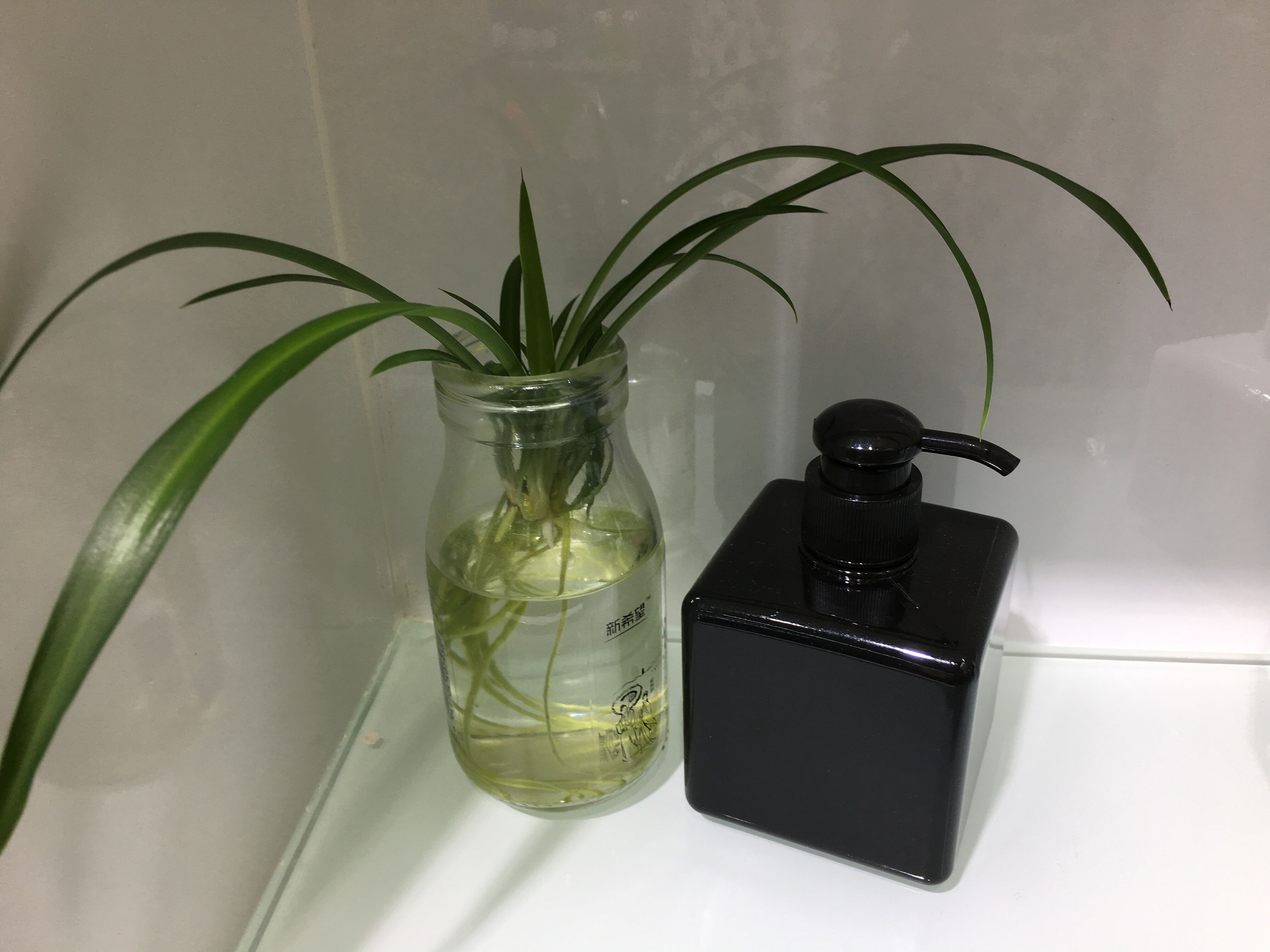 280ML square bottle, hand sanitizer bottle, PETG bottle, bathroom shower gel bottle, cosmetic bottle