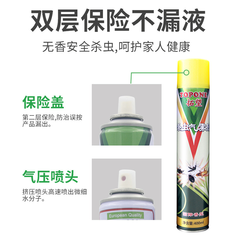 Wholesale Insecticide Aerosol Tasteless Killing Mosquito and Fly Ant Cockroach Killer Topone Lice Removal Flea Spray Household Spray