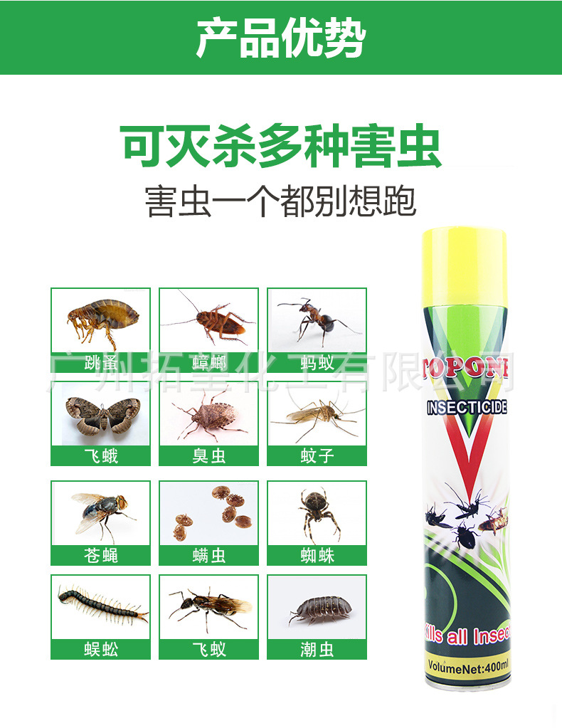 Wholesale Insecticide Aerosol Tasteless Killing Mosquito and Fly Ant Cockroach Killer Topone Lice Removal Flea Spray Household Spray Wholesale Insecticide Aerosol Tasteless Killing Mosquito and Fly Ant Cockroach Killer Topone Lice Removal Flea Spray Household Spray
