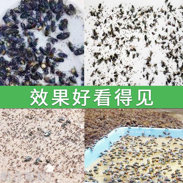 Domestic oral spray 750ml tasteless anti-mosquito and cockroach manufacturers direct wholesale aerosol