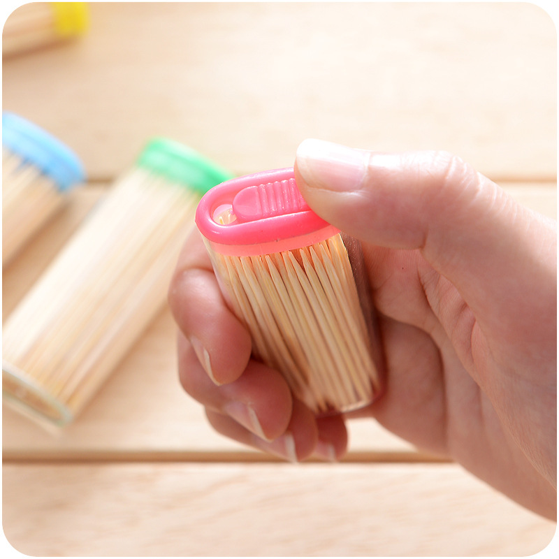 Travel Portable Lighter Shape Bamboo Toothpick Portable Bamboo Stick Wholesale Stall Supply