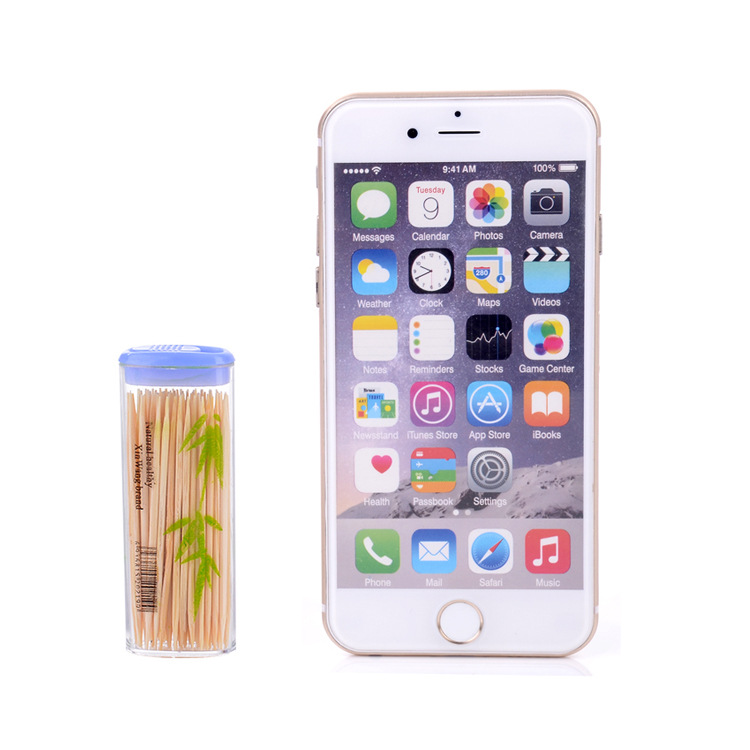 Travel Portable Lighter Shape Bamboo Toothpick Portable Bamboo Stick Wholesale Stall Supply