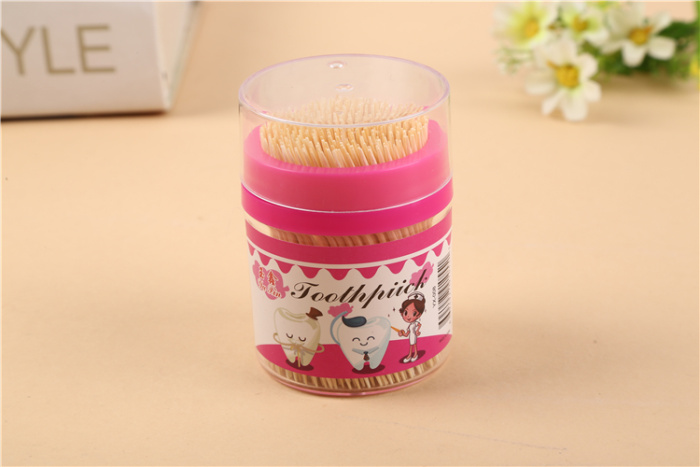 Quality Bamboo Toothpick Disposable Double-Headed Portable Bottled Fine-Tooth Fruit Household Toothpicks Bamboo Toothpick