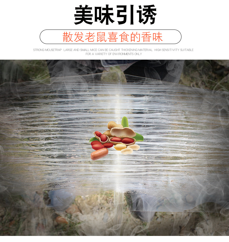 Deratization Magic Carpet Mouse Sticker Mouse Trap Sticker Household Kitchen Transparent Sticky Mouse Tape Rat Trap Mouse Trapping Glue Wholesale Deratization Magic Carpet Mouse Sticker Mouse Trap Sticker Household Kitchen Transparent Sticky Mouse Tape Rat Trap Mouse Trapping Glue Wholesale
