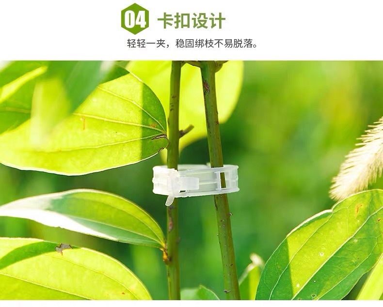 Plant Clips Plastic Tie Tendril Clip Hami Melon Clip Clip for Hanging Vine Vine Clamp Vine Fixed Clip