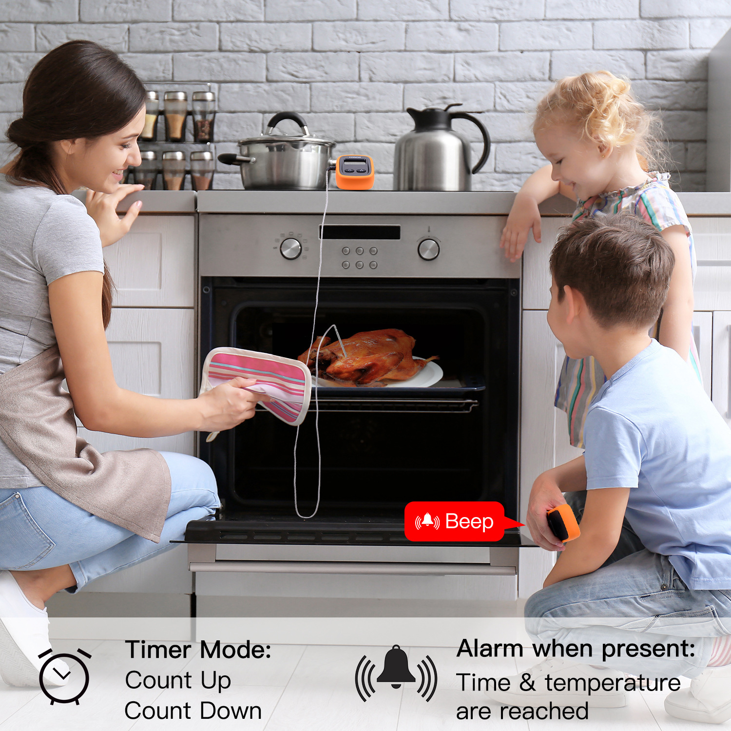 Barbecue Thermometer Oven High Temperature Baking Timing Thermometer BBQ Barbecue Probe Type BBQ Barbecue Thermometer