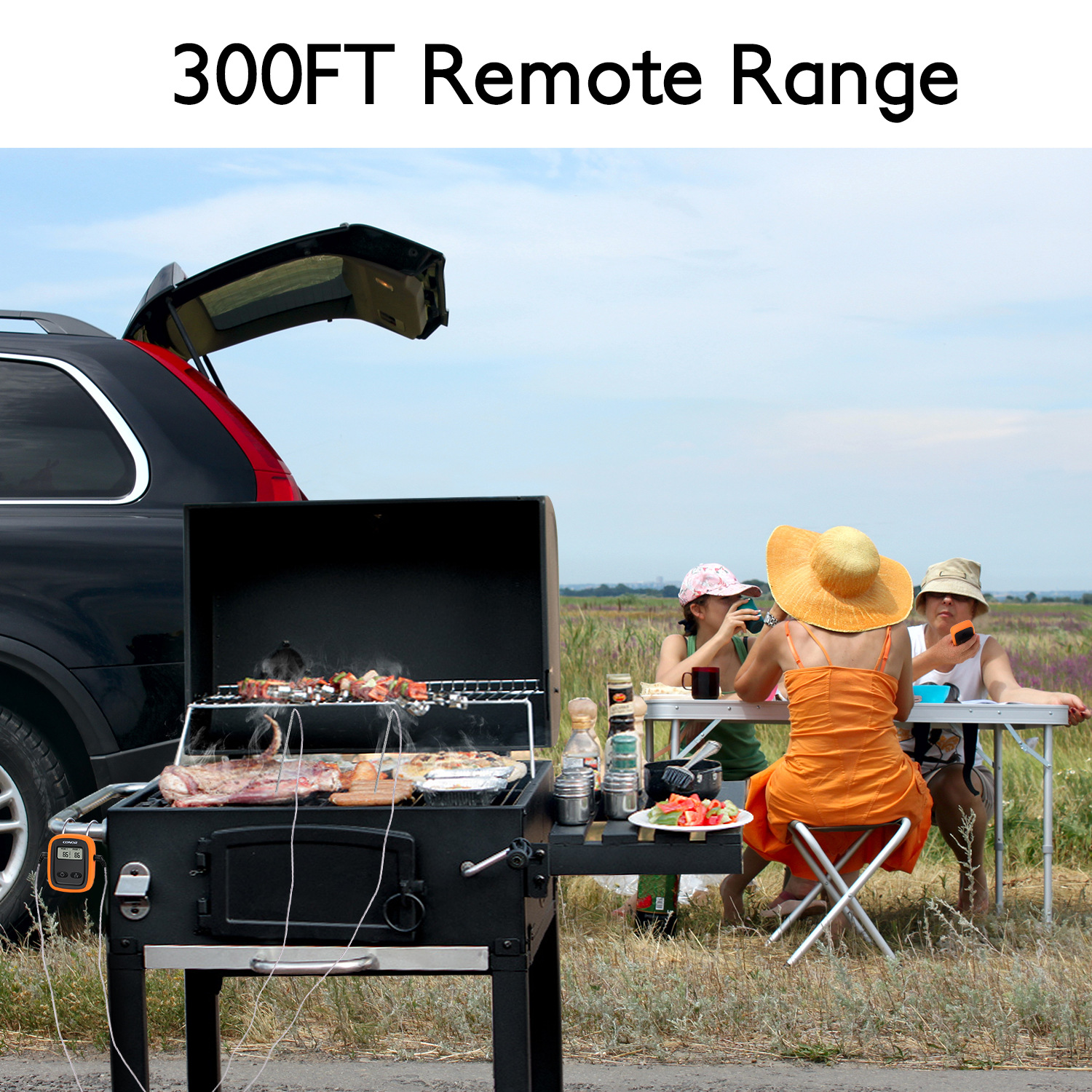 Barbecue Thermometer Oven High Temperature Baking Timing Thermometer BBQ Barbecue Probe Type BBQ Barbecue Thermometer