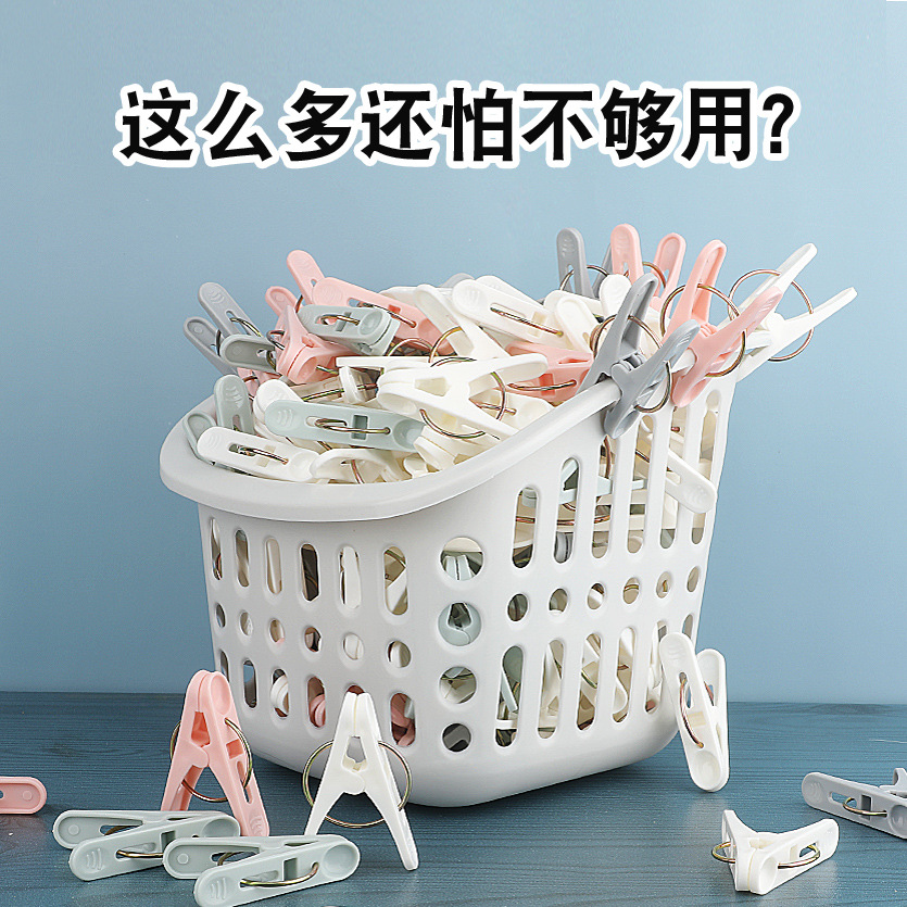 plastic clip Panty-Hose Small Clip Drying Underwear Small Clp Mixed Color 50 Pack Factory Direct Supply