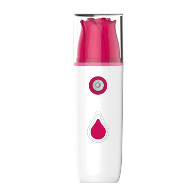 Explosion Handheld Cold Spray Water Replenishing Instrument Facial Humidifier USB Charging Nano Spray Facial Vaporizer Beauty Sprayer