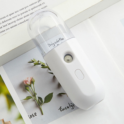 Face Steaming Sprayer Household Charging Water Replenishing Instrument Handheld Equipment for Facial Beauty Humidifier