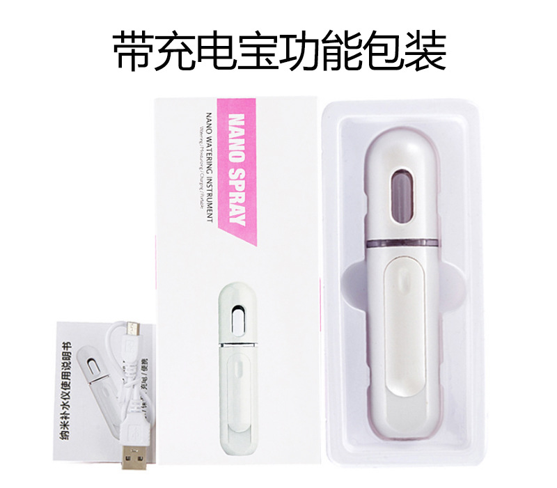 Face Steaming Sprayer Household Charging Water Replenishing Instrument Handheld Equipment for Facial Beauty Humidifier