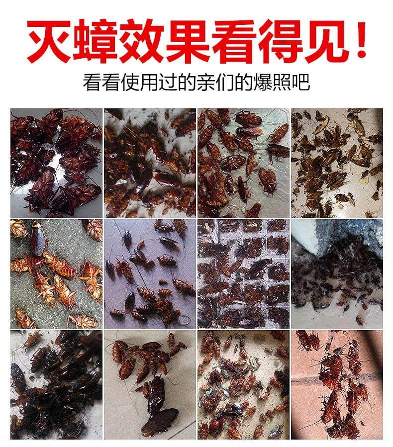 Factory Wholesale Roach Killer Household Cockroach Killing Bait Cockroach House Stick Trap Sprayer Powder