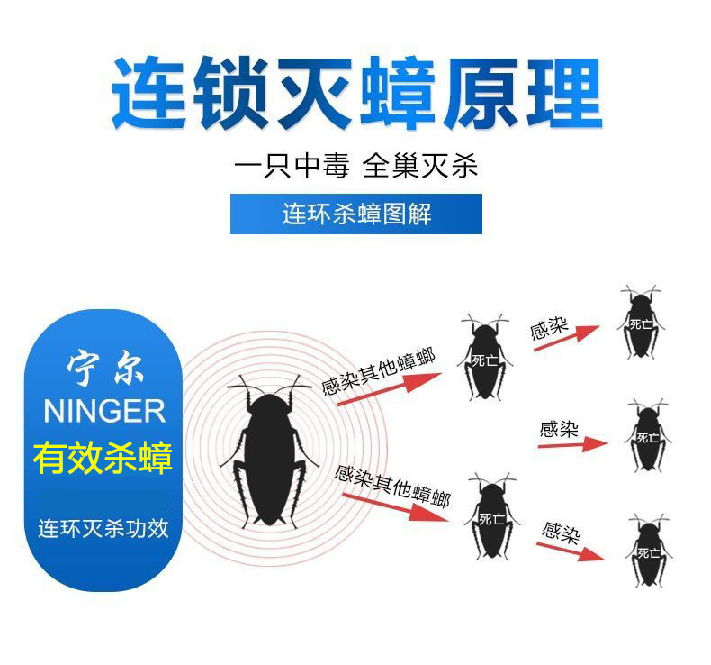 Factory Wholesale Roach Killer Household Cockroach Killing Bait Cockroach House Stick Trap Sprayer Powder