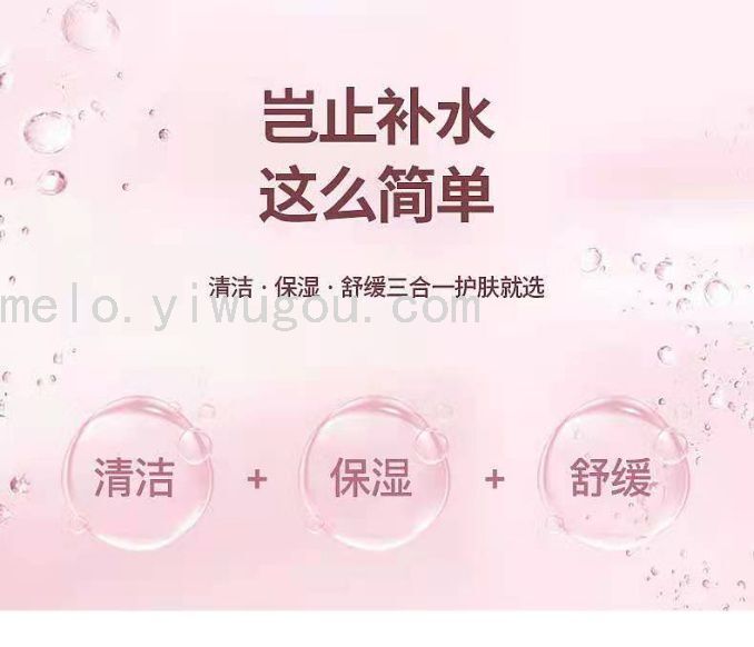 Nano Water Replenishing Instrument, Water Sprayer