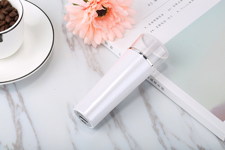 Handheld Portable Electric Nano Mist Sprayer Facial Vaporizer Facial Humidification Hand Mask Beauty Sprayer
