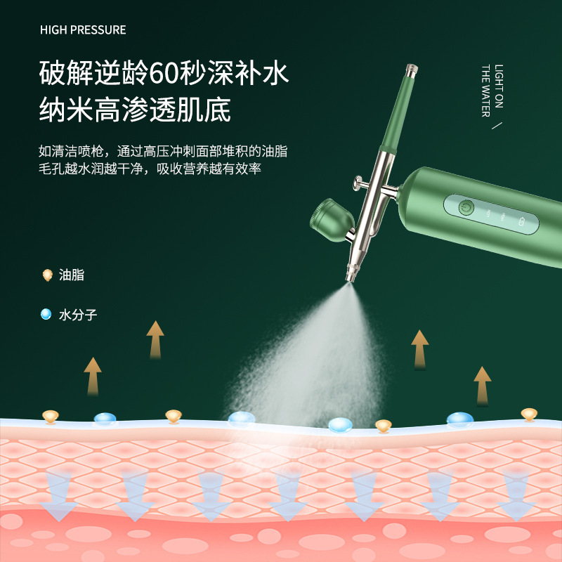 Oxygen Injection Skin Spray Beauty Salon Home Handheld High-Pressure Spray Gun Water Oxygen Instrument Charging Portable Sprayer Essence Inductive Therapeutical Instrument